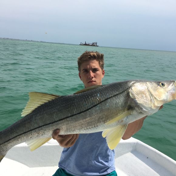 Meet your Posher, Justin - Picture 1 of 1